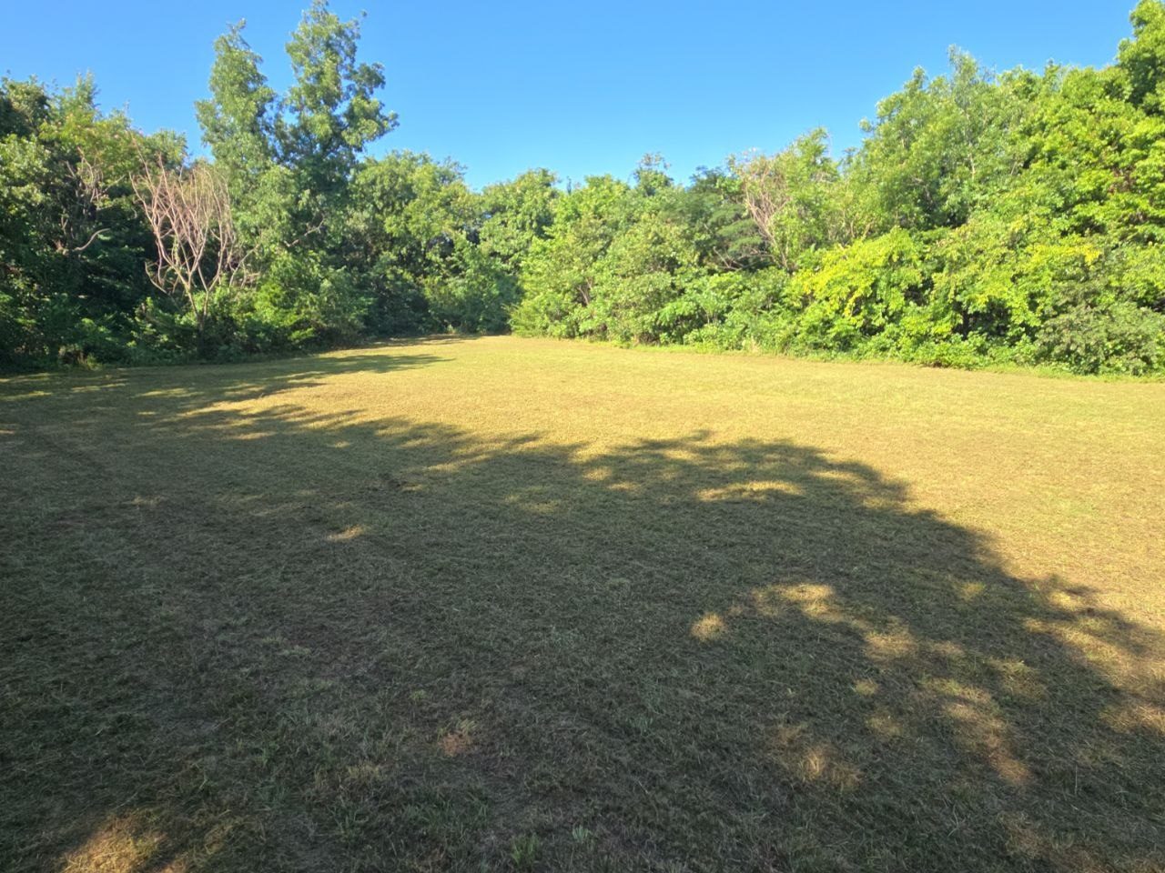 After: large field cut down and opened up by Perry Landscaping