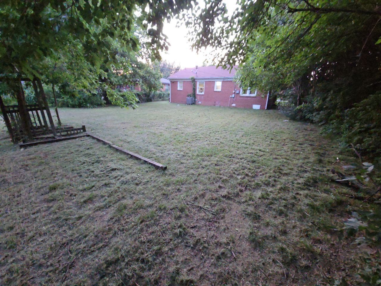 After: backyard mowed and cleared under the trees