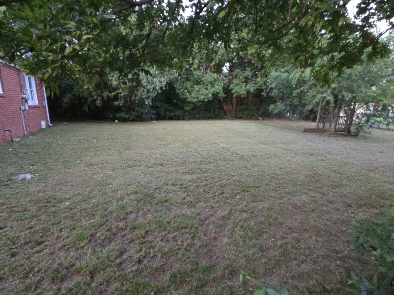 After: backyard and side yard cut down and opened up