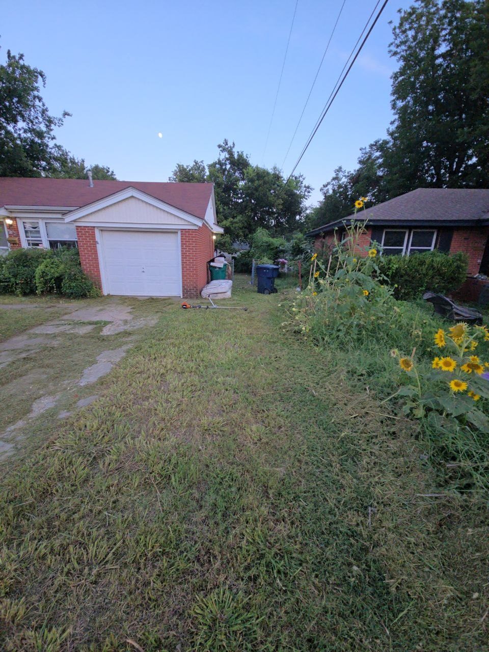 After: driveway and curbside edge cut back and cleaned up