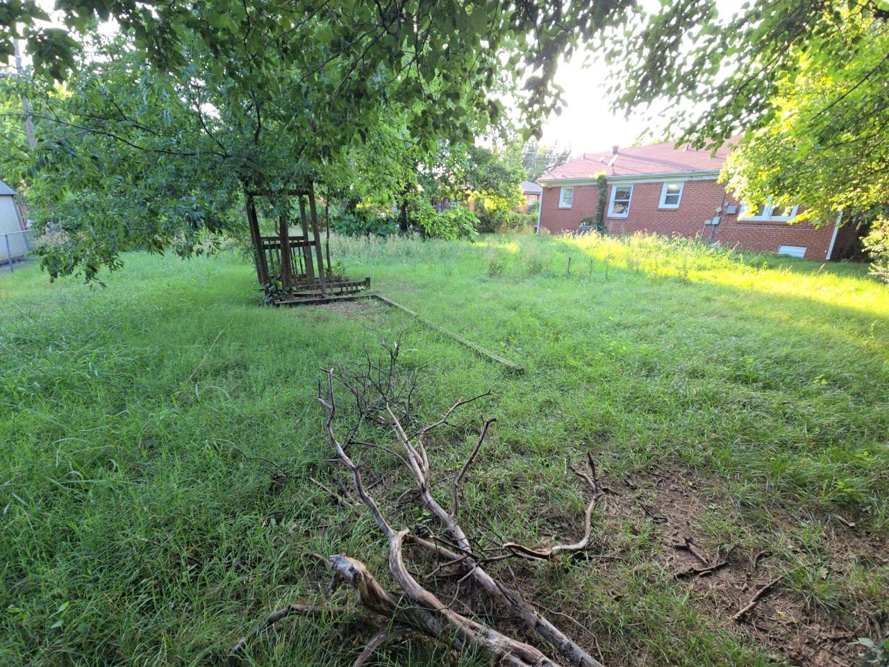 Before: backyard with high grass and fallen limbs