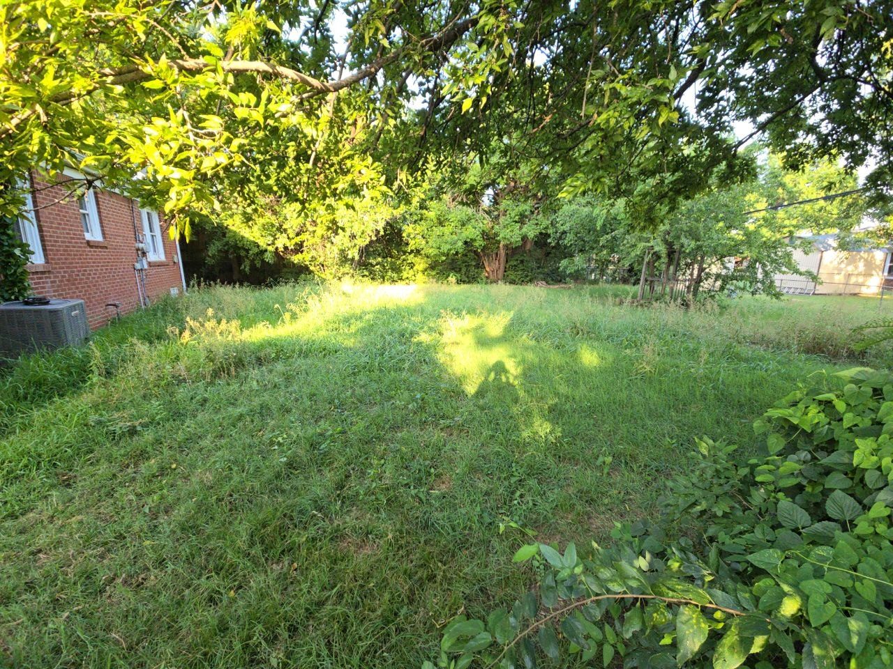 Before: backyard and side yard with tall uneven grass