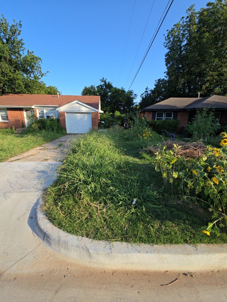 Before: overgrown driveway and curbside edge