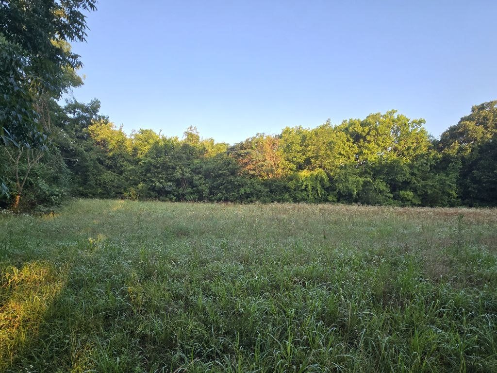 Before: large field with tall uneven grass before Perry Landscaping cleanup