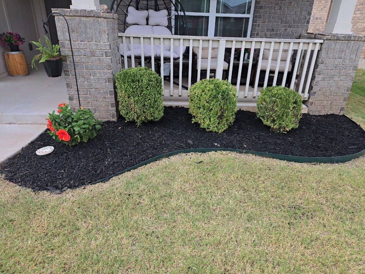 Fresh black mulch bed with clean edging, trimmed boxwoods, and red flowers by Perry Landscaping
